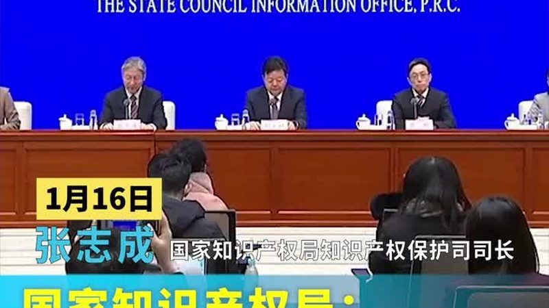 财税公司业务范围与会计事务所：揭秘两者间的差异